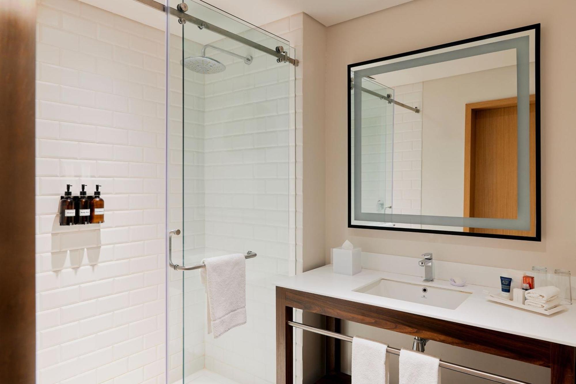 Hotel Four Points By Sheraton Colonia Roma 3*